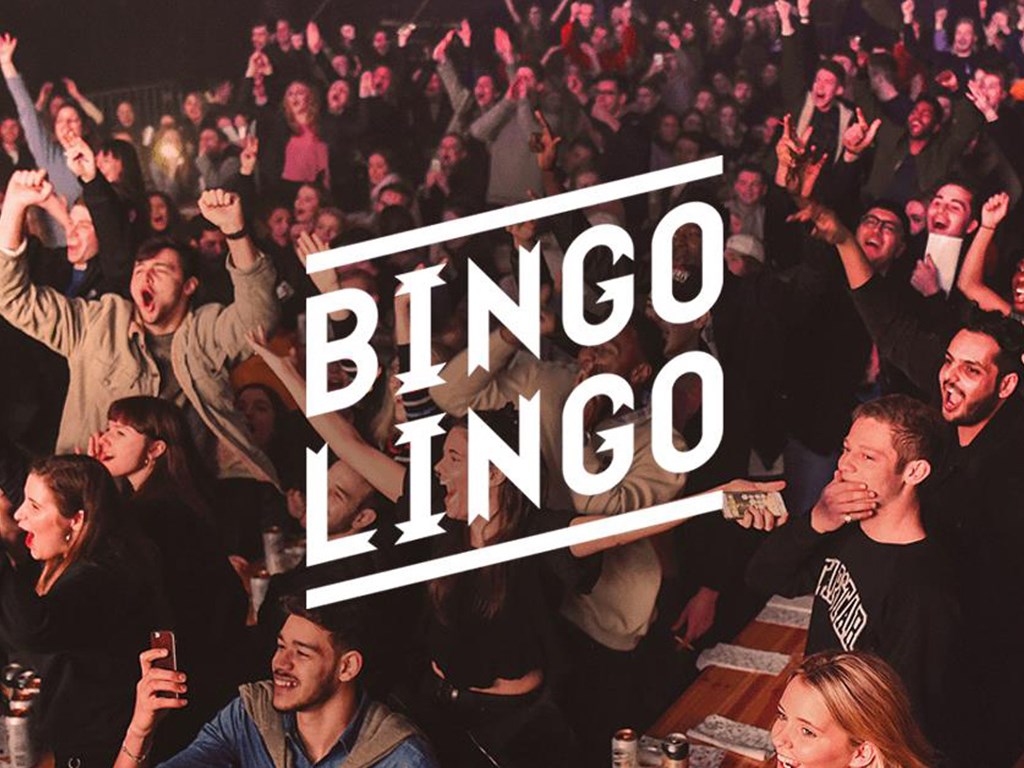 bingo-lingo-bingo-terms-tips-to-win-bingo-here-umbingo